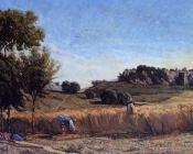 保罗卡米尔吉谷 - Field of Wheat